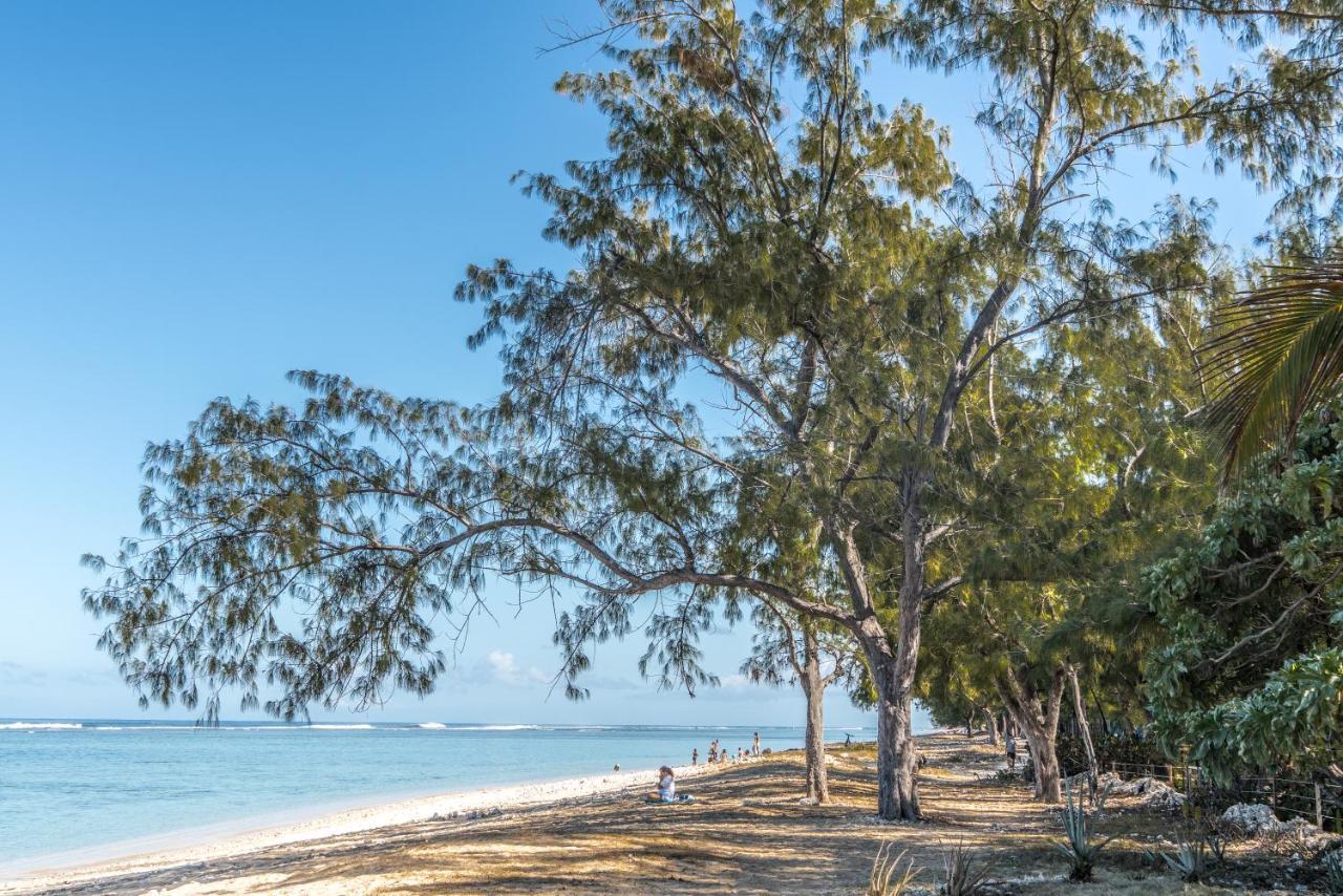 La Perle Rare - Reunion Villa ลาซาลีน เลอแบ็ง ภายนอก รูปภาพ